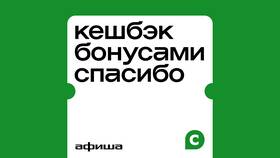 Как обналичить бонусы «СберСпасибо» от Сбербанка в Лукойл