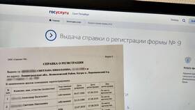 Как получить справку формы №9 через Госуслуги в Лукойл