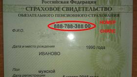 Как посмотреть дату получения СНИЛС в Лукойл