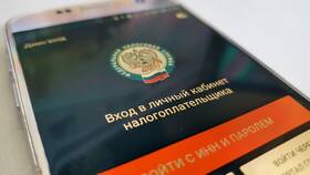 Как рассчитать 13-ю зарплату: калькулятор и методика в Лукойл