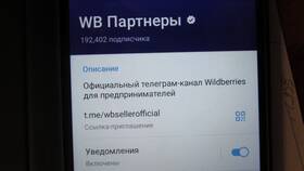 Как связаться с технической поддержкой Wildberries в Лукойл