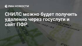 Как заказать СНИЛС на ребенка через Госуслуги в Лукойл