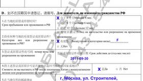 Как заполнить анкету на транзитную визу в Китай в Лукойл