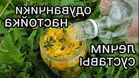 Одуванчики на водке: применение и свойства в Лукойл