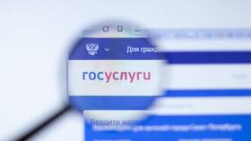 Почему не получается восстановить доступ к Госуслугам в Лукойл