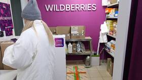 Почему Wildberries запрашивает доступ к Госуслугам в Лукойл