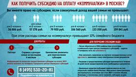 Заявление о том, что не получали субсидию в Лукойл