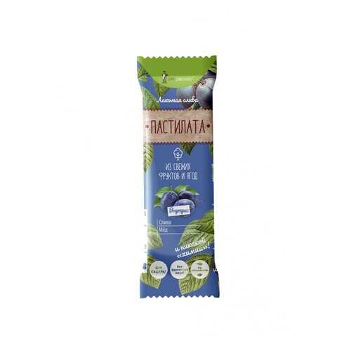 Пастила фруктовая Экофермер pastilata слива с медом 30 г в Лукойл