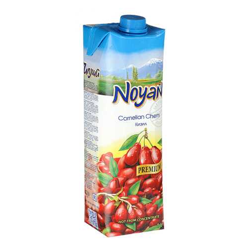 Кизиловый нектар Noyan premium 1л в Лукойл